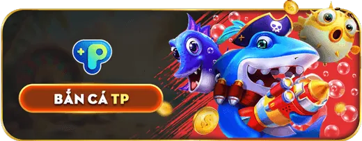 Tổng quan về điều khoản pháp lý của S6666